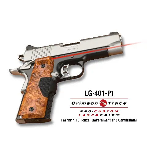 1911 Government-Commander Pistol 1