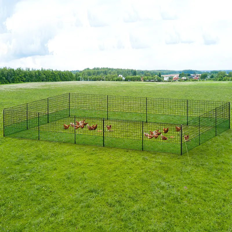I.Pet Electric Poultry Netting – 50 M X 125 Cm Secure Fence For Chickens & Small Livestock 1