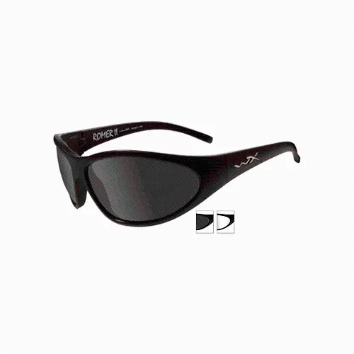 Wiley X 1 Adv Tactical Goggles 1